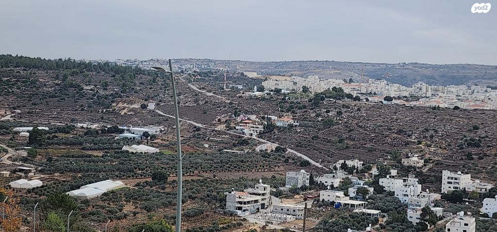 דירה, צור הדסה