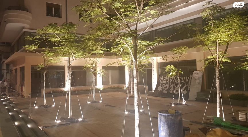 דירה, תל אביב יפו