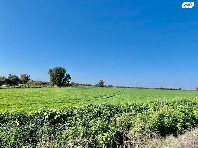 משק חקלאי/ נחלה