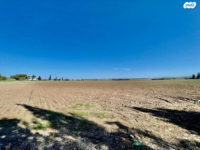 משק חקלאי/ נחלה, אומץ