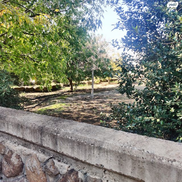 בית פרטי/ קוטג', קצרין