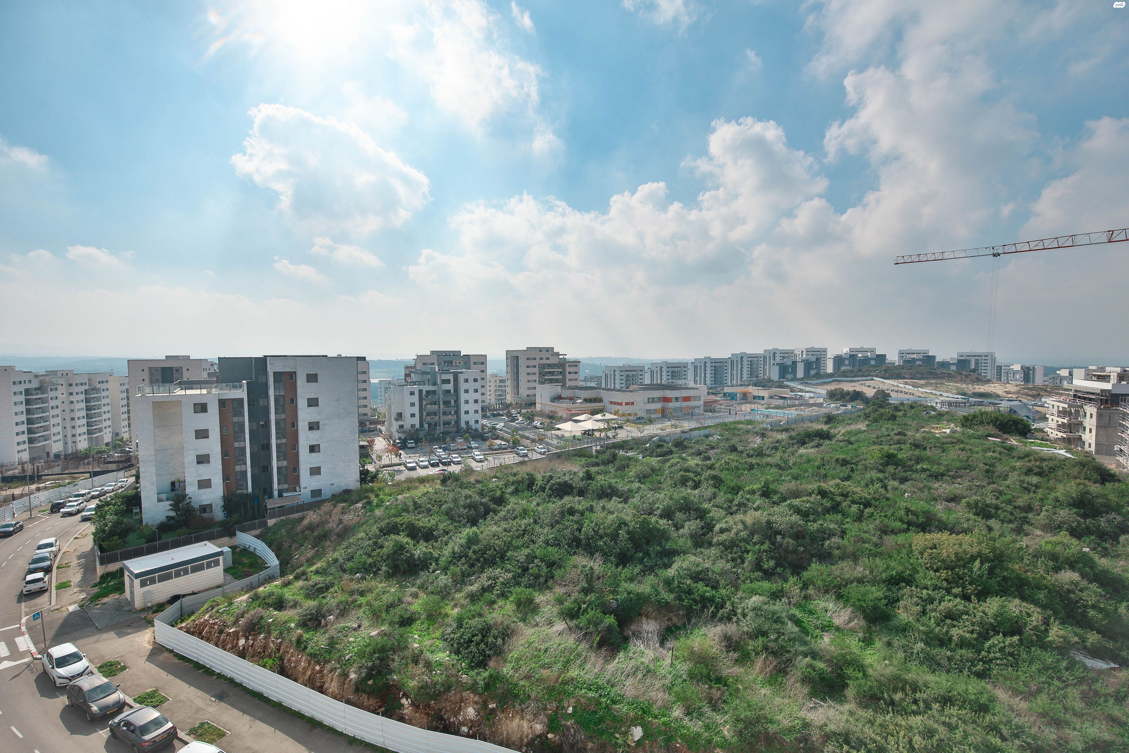 רקפת 13