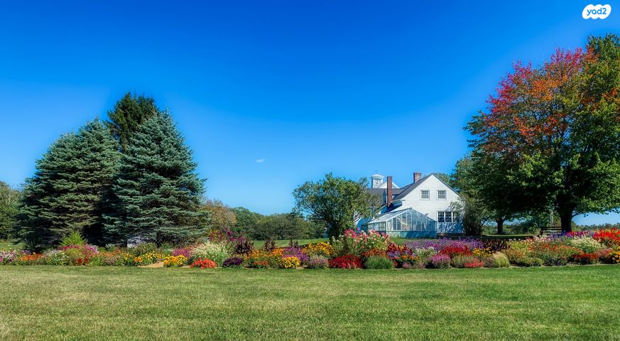משק חקלאי/ נחלה