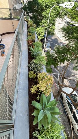 דירה, תל אביב יפו