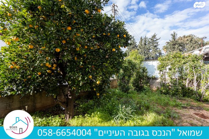 דו משפחתי, הרב צעירי, שעריה, פתח תקווה