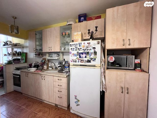 גג/ פנטהאוז, דן 3, גני אביב, לוד