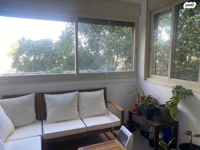 דירה, ירושלים, חיפה