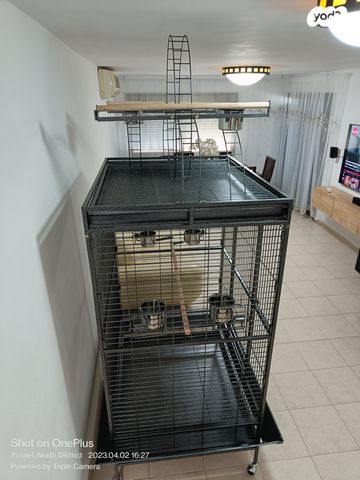 תמונת מודעה - חיות מחמד