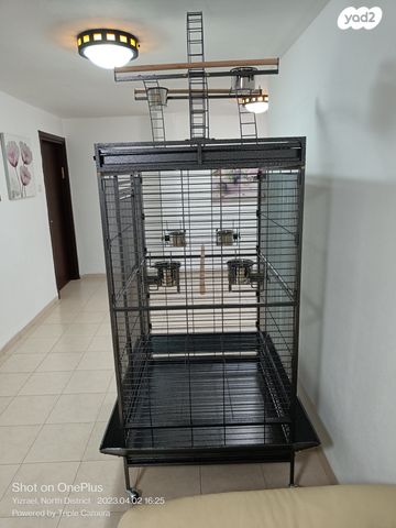 אביזרים | כלוב האכלת יד