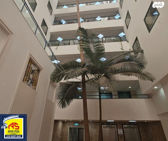 משרדים, חיים פקריס, רחובות