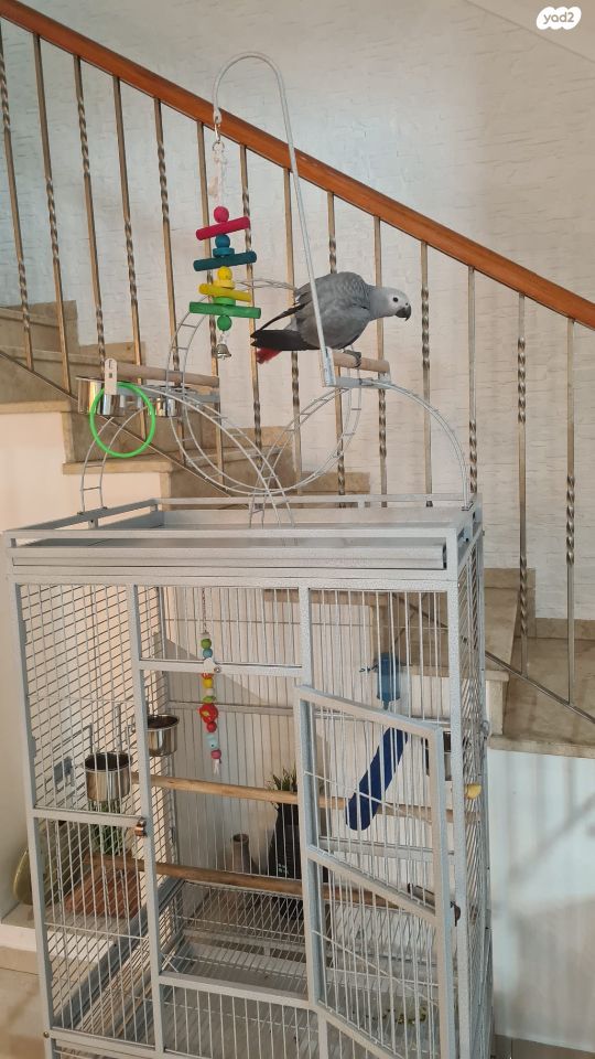 אביזרים | כלוב האכלת יד