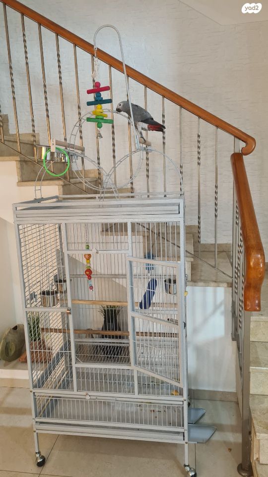 אביזרים | כלוב האכלת יד