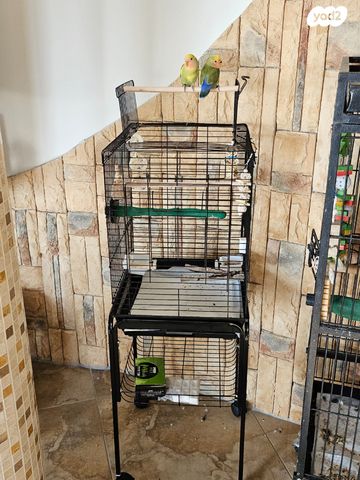 אביזרים | כלוב האכלת יד