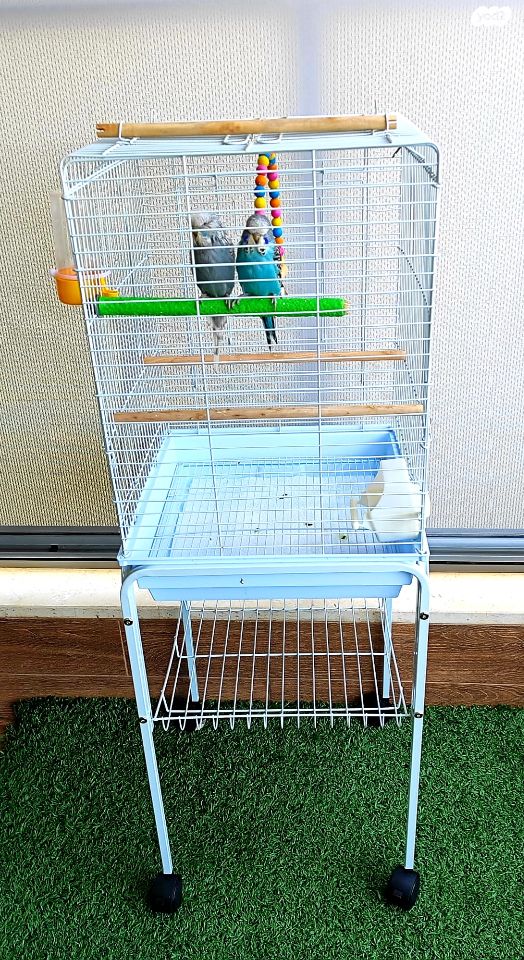 אביזרים | כלוב האכלת יד