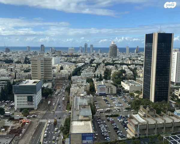 ליאונרדו דה וינצ'י 12