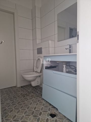 אורי אלמוג 