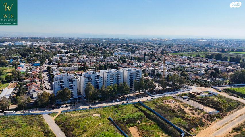 דירה, הפלמ"ח 137, שאר העיר, קדימה צורן