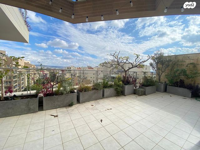 גג/ פנטהאוז, חסידה, כפר סבא