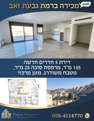 הכינור 