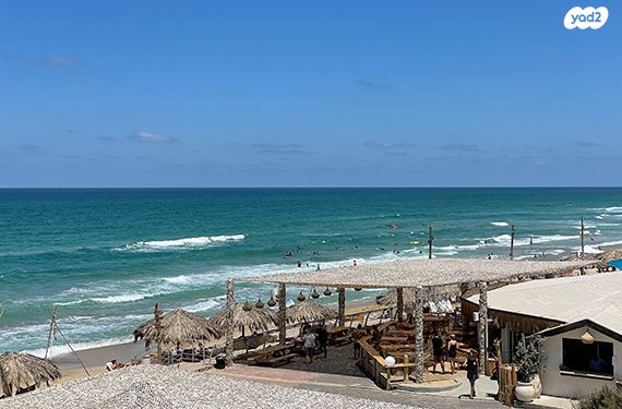 חבצלת השרון