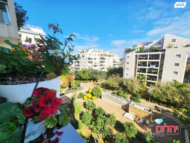 דירה, הזמר העברי, כפר סבא