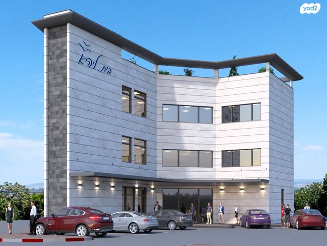 דוד בן גאון 