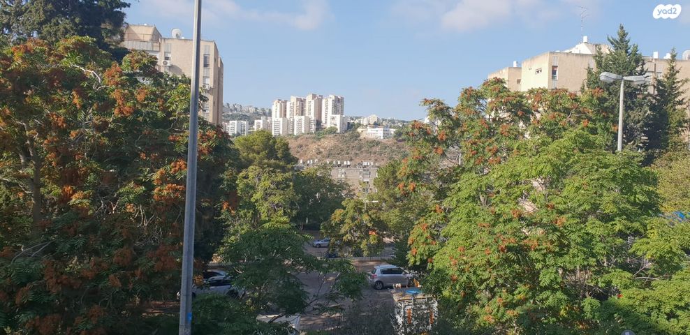 דירה, חניתה, חיפה