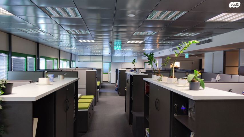 משרדים, ראול ולנברג, תל אביב יפו