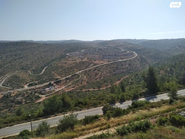 דו משפחתי, נריה, טלמון