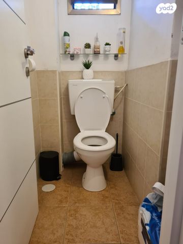 דירה, מוהליבר, רמב"ם, ראשון לציון