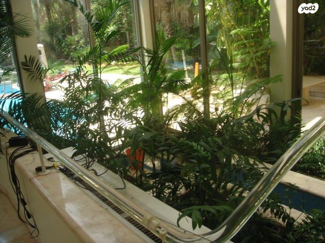 בית פרטי/ קוטג', סביון