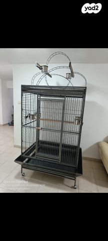 תמונת מודעה - חיות מחמד