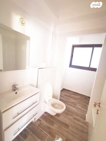 דירה, טירת כרמל