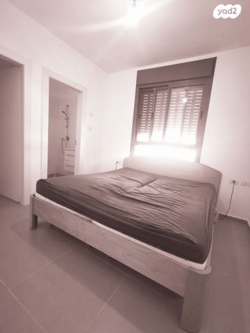 דירה, טירת כרמל