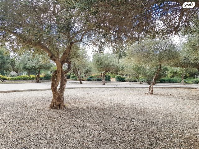 דירה, מעלות דפנה 117, ירושלים