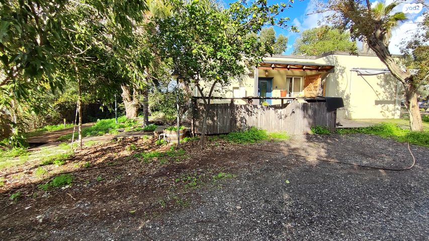 משק חקלאי/ נחלה, חבצלת השרון, חבצלת השרון