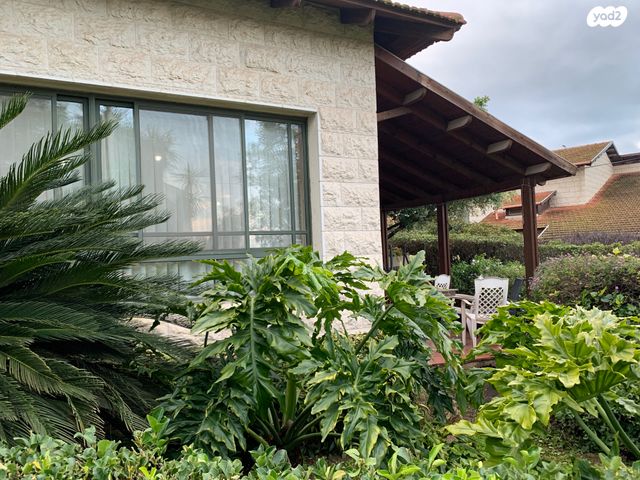 בית פרטי/ קוטג', מצפה