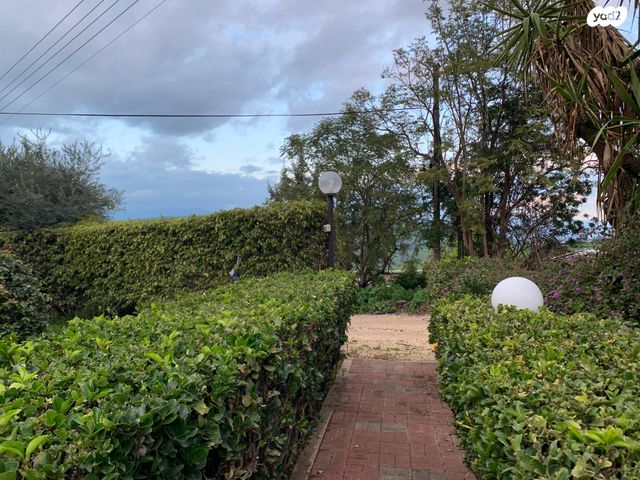 בית פרטי/ קוטג', מצפה