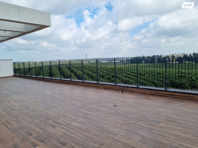 גג/ פנטהאוז, תל מונד