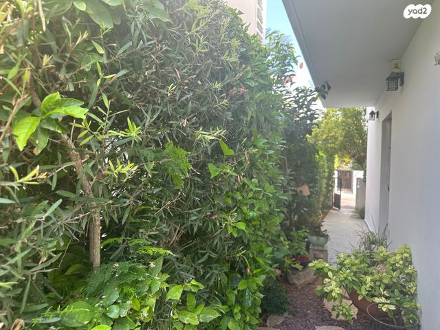 בית פרטי/ קוטג', כפר יונה