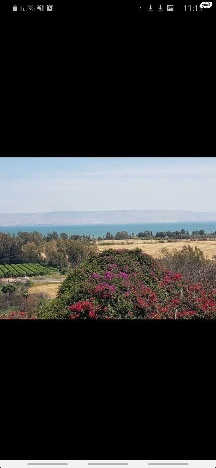 מגרשים