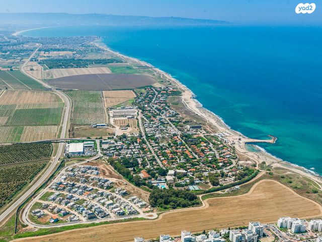 מגרשים