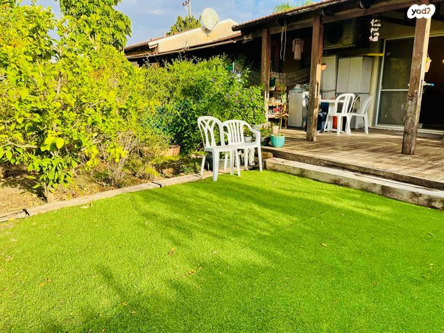 עפולה הצעירה