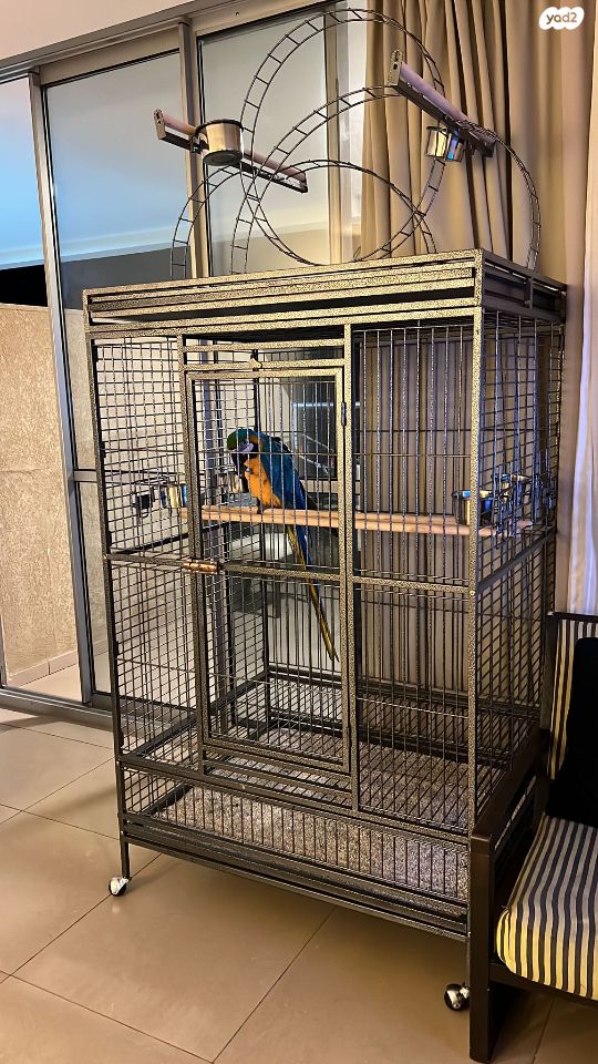 אביזרים | כלוב האכלת יד