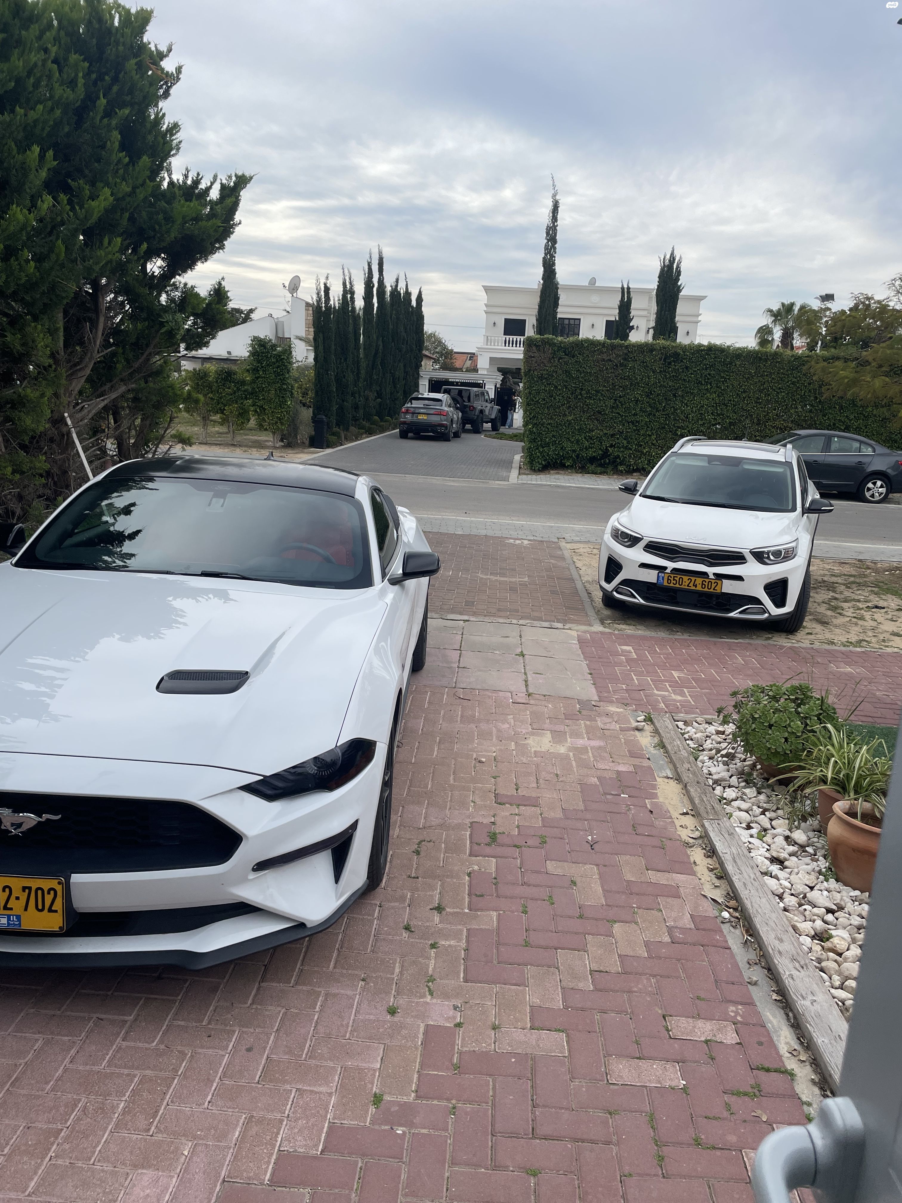 מודעת רכב פורד מוסטנג