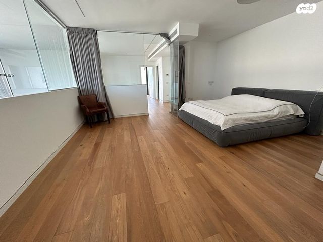 דופלקס, פנינה זלצמן, גלילות, תל אביב יפו