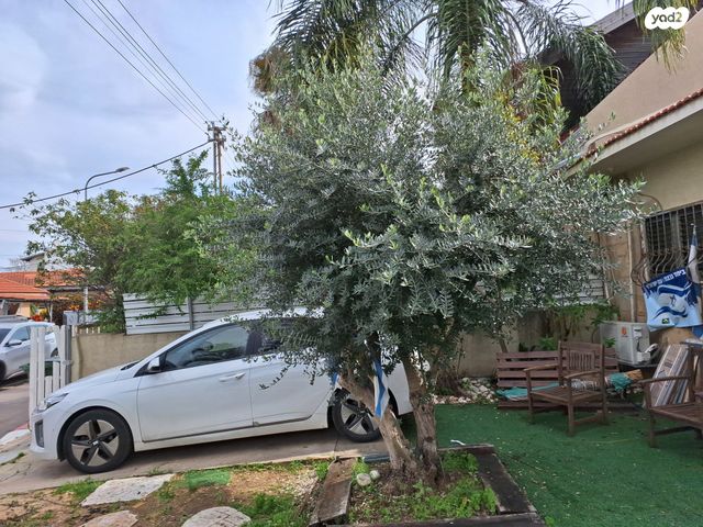 היינריך צבי גרץ 