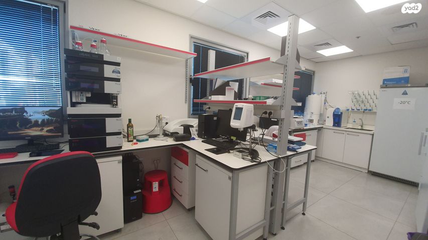 משרדים, אלי הורוביץ, רחובות