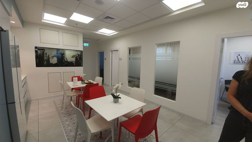 משרדים, אלי הורוביץ, רחובות