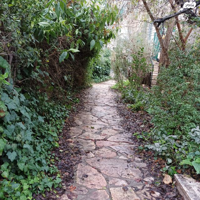 דירה, כרמון, בית הכרם, רמת בית הכרם, ירושלים